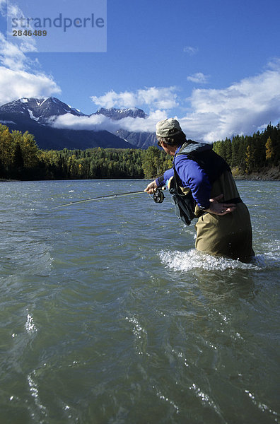 fliegenfischend  Bulkley River  Smithers  British Columbia  Kanada.