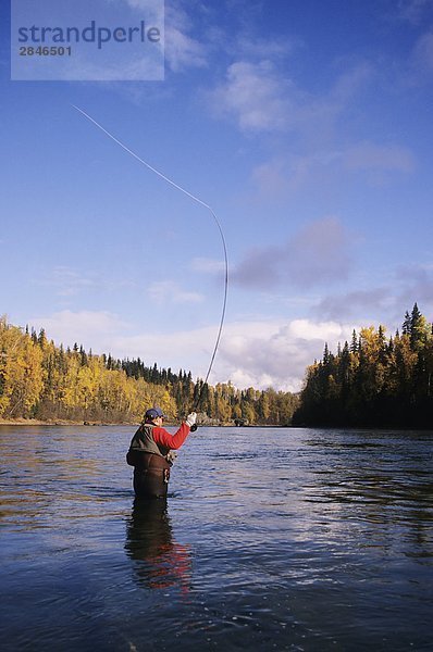 Fliegenfischer Casting für Steelhead am Bulkley River  Smithers  British Columbia  Kanada.