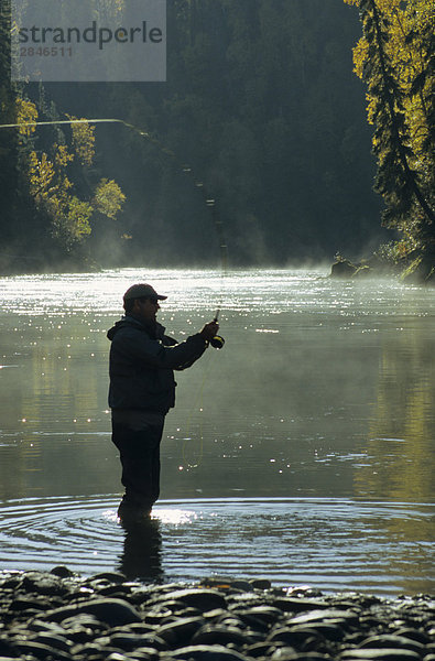 Fliegenfischer Silhouette  Bulkley River  Smithers  British Columbia  Kanada.