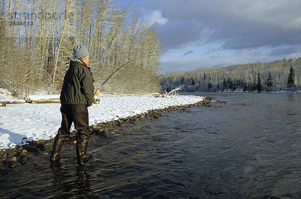 Fliegenfischer spielen Steelhead  Bulkley River  Smithers  British Columbia  Kanada.