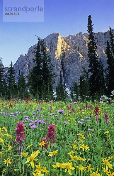 Mount Drysdale und Rockwall Pass  Kootenay-Nationalpark  British Columbia  Kanada.