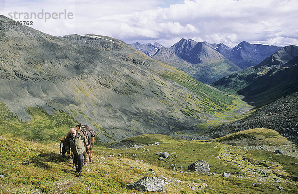 Führt ein Pferd bis eine alpine Steilhang  Muskwa-Kechika Wildnis  Northern Rockies  British Columbia  Kanada.