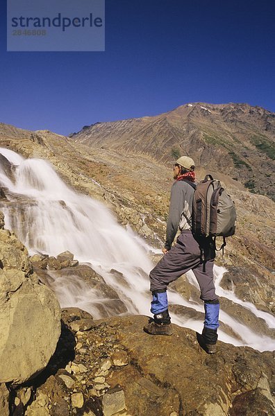 Wanderer neben Gletscher Gulch  Hudson Bay Mountain  Smithers  British Columbia  Kanada.