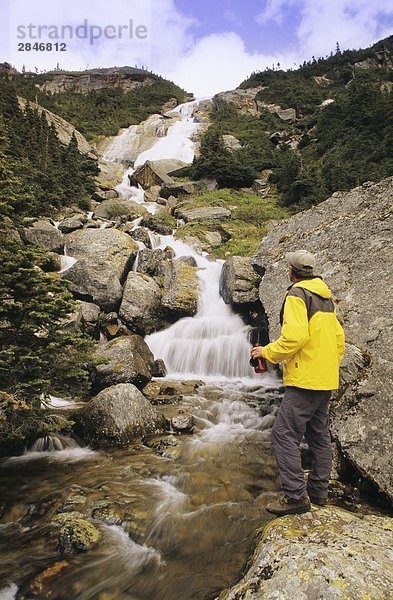 Wanderer neben Creek  Danny Moore Becken  Babine Berge Provincial Park  Smithers  British Columbia  Kanada.