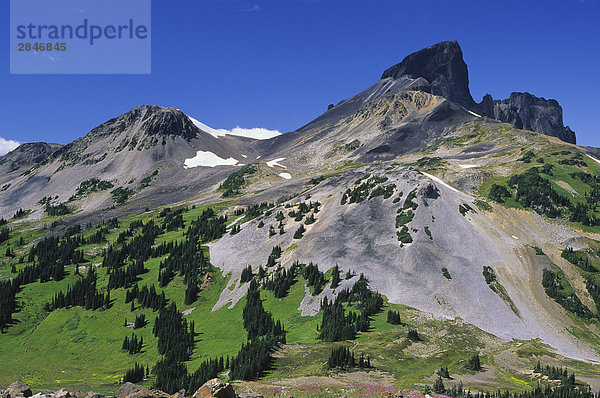 Schwarz Tusk  Garibaldi Park  British Columbia  Kanada.