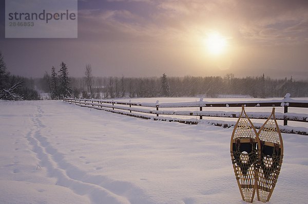 Schneeschuhe und Sturm Licht  Bulkley Tal  British Columbia  Kanada.