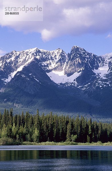 Dennis See und der Hudson Bay Mountain  Bulkley Tal  British Columbia  Kanada.