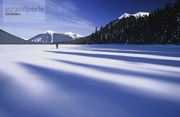 Skitour auf zugefrorenen Isaac See im Winter  Bowron Lakes Provincial Park  British Columbia  Kanada.