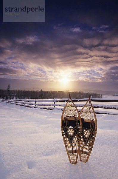 Schneeschuhlaufen in stürmischen Winter Scene  Smithers  British Columbia  Kanada.