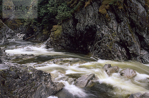 Kleanza Creek  Kleanza Creek Provincial Park  Terrasse  British Columbia  Kanada.