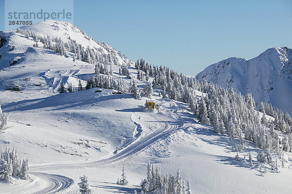 Schnee Skifahren Cat  Mount McKenzie  Revelstoke in British Columbia  Kanada.
