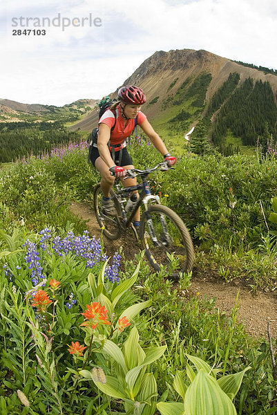 Mountainbiker Fahrten bis aus Eldorado Becken Windy Pass  südlichen Chilcotin Bergen  British Columbia  Kanada.