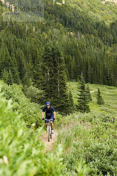 Mountainbiker Fahrten bis aus Eldorado Becken Windy Pass  südlichen Chilcotin Bergen  British Columbia  Kanada.
