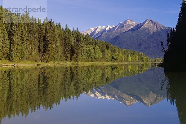 Laneezi See  Bowron Lake Provincial Park  British Columbia  Kanada.