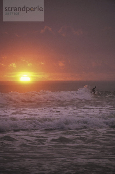 Costa Rica. Nicoya Halbinsel. Santa Theresa  ein Ziel Premiere Surfen. Surfer auf Welle bei Sonnenuntergang.