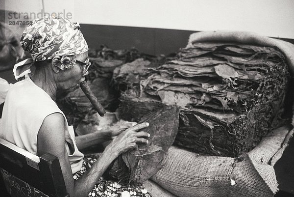Havanna Hauptstadt rollen Frau Rauch Produktion Zigarre Kuba kubanisch