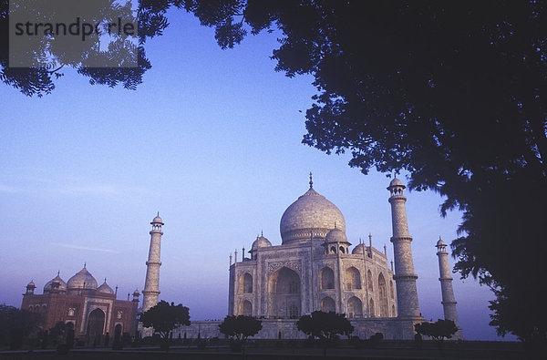 Indien  Uttar Pradesh  Agra  Taj Mahal  erbaut von Shah Jahan  abgeschlossen 1653  eingerahmt von Bäumen