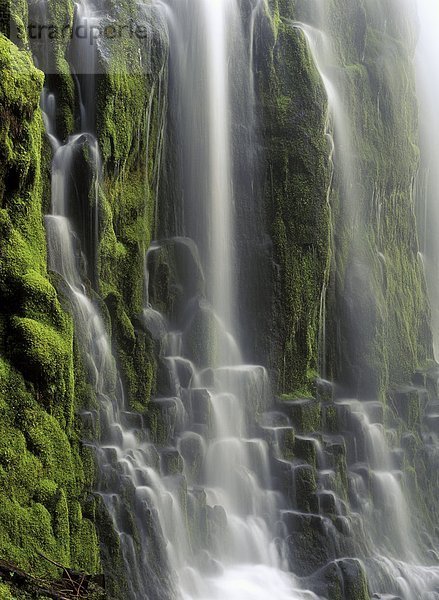 USA  Oregon  Proxy Falls - Wasserfall-Informationen