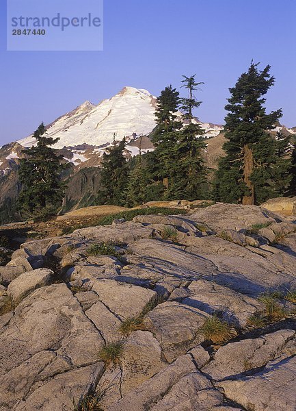 USA  US-Bundesstaat Washington  Mount Baker-Erholungsgebiet