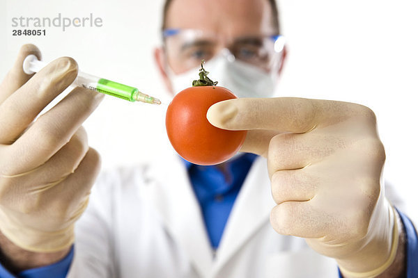 Wissenschaftler injizierenden Tomaten