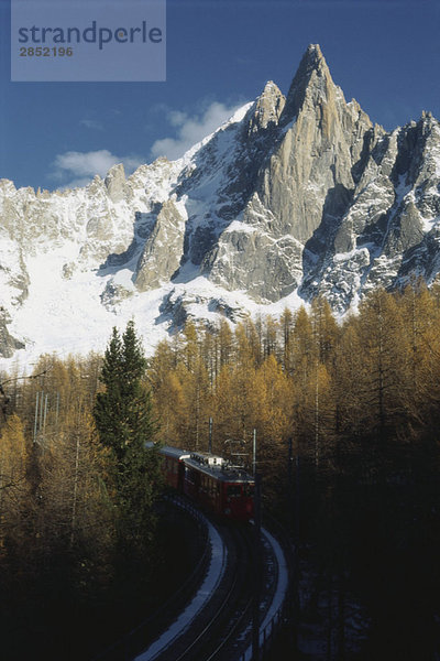 Zug fährt durch die Alpen