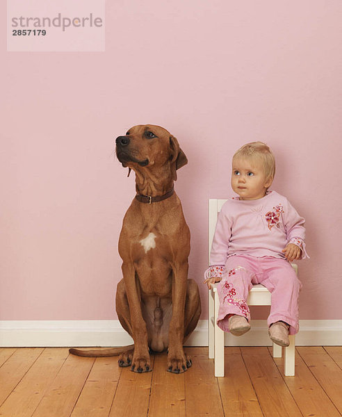 Hund sitzend neben weiblichem Kleinkind