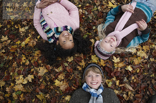 Drei Freunde auf Herbstblättern liegend