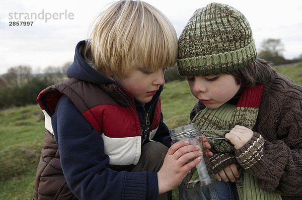 Junge Jungen inspizieren Insektenglas