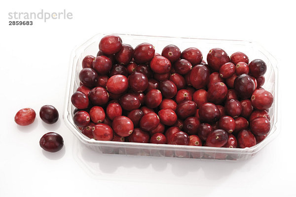 Cranberries (Vaccinium macrocarpon) in Kunststoffbox  erhöhte Ansicht