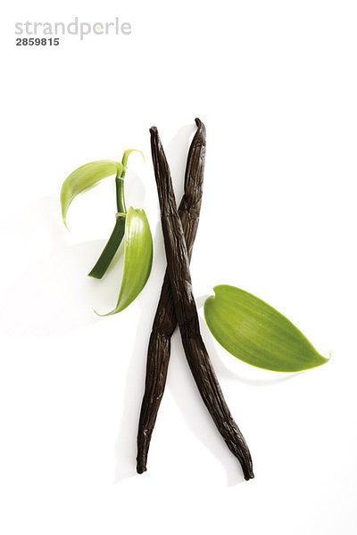 Vanilleschoten (Vanilla planifolia)