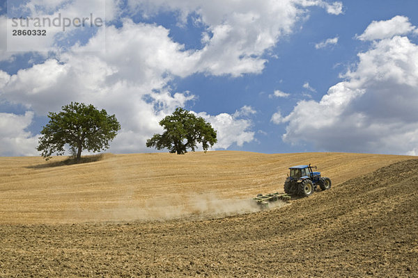 Italy  Tuscany  Tractor on corn field