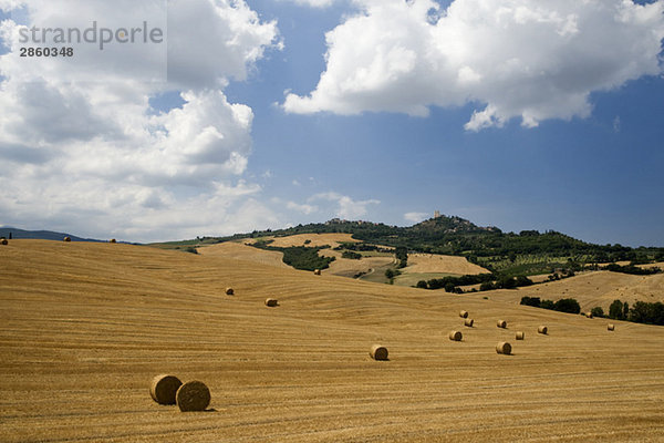 Italien  Toskana  Strohballen auf geernteten Feldern