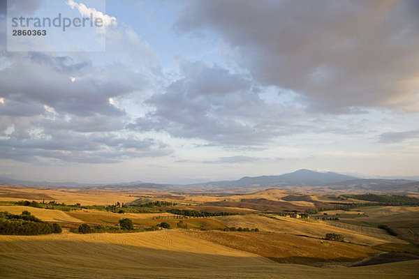 Italien  Toskana  Erntefelder und Blick auf den Monte Amiata