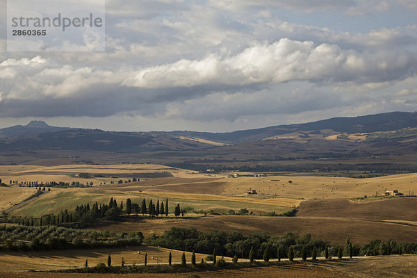 Italy  Tuscany  Val d'Orcia  Hilly landscape with cypress trees