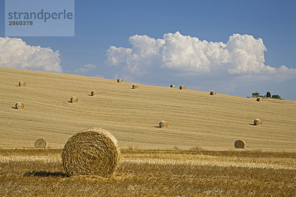 Italien  Toskana  Strohballen auf geernteten Maisfeldern