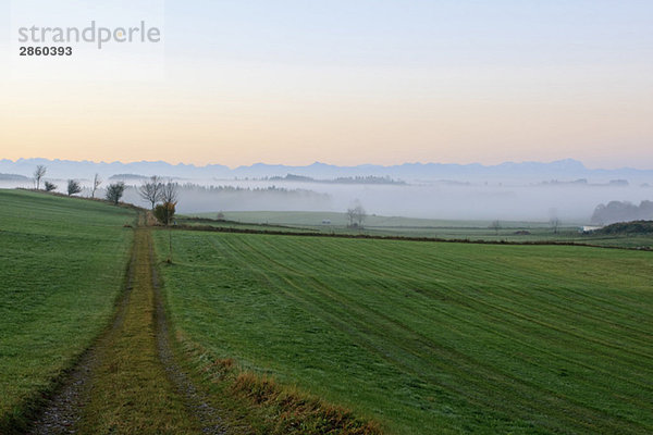 Germany  Bavaria  Field path and fog  The Alps in background