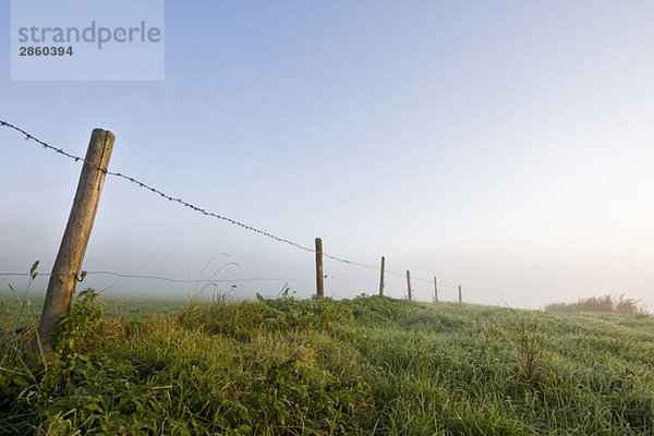 Germany  Bavaria  Barbwire fence with fog