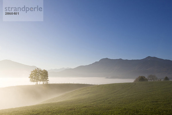 Germany  Bavaria  Pasture land with fog  the Alps in background