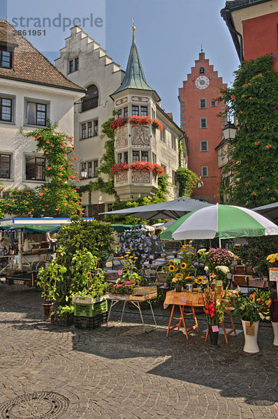 Deutschland  Baden-Württemberg  Meersburg  Blumenmarkt