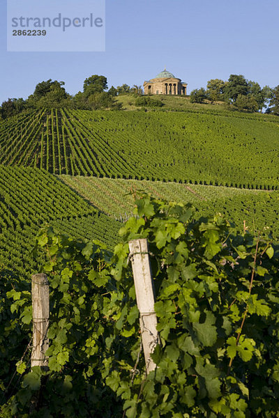 Deutschland  Baden-Württemberg  Stuttgart  Grabkapelle am Württembergischen Berg  Weinberge