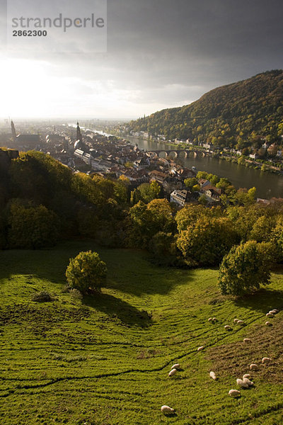 Deutschland  Baden-Württemberg  Blick über die Stadt mit dem Necker