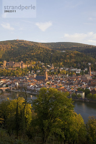Deutschland  Baden-Württemberg  Heidelberg  Stadt und Fluss  Hochansicht
