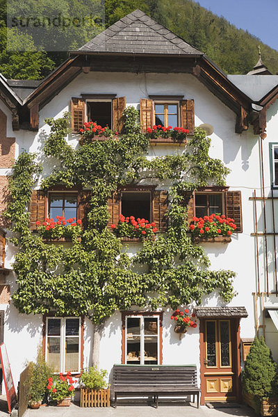 Austria  Salzkammergut  Hallstatt  Chalet with flowers
