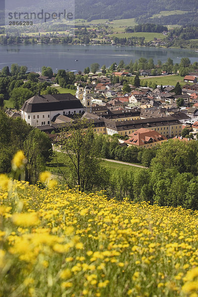 Austria  Salzkammergut  Mondsee village and lake