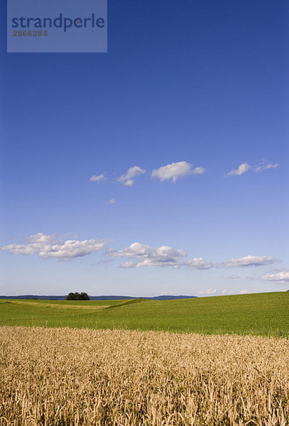 Österreich  Salzkammergut  Irrsee  Landschaft  blauer Himmel und Wolken