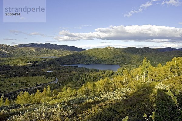 Panoramische Ansicht der Landschaft  Lifjell  Zündkapseln Tal  Telemark  Norwegen