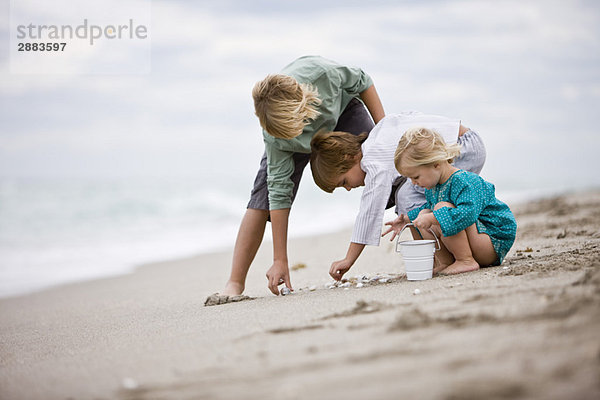 Mädchen und Jungen spielen mit Muscheln am Strand
