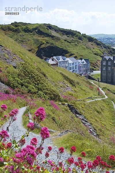 Aberystwyth  Ceredigion  Wales  UK