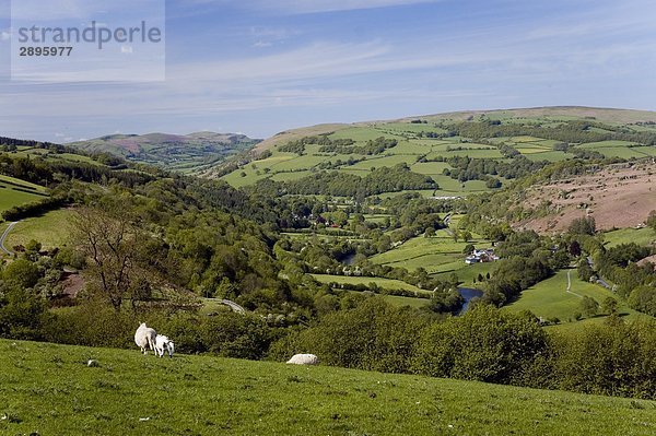 Wye Valley  Powys  Mid Wales  UK