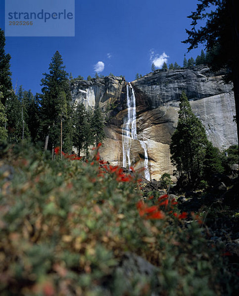 Wasserfall  Yosemite Nationalpark  Kalifornien  USA